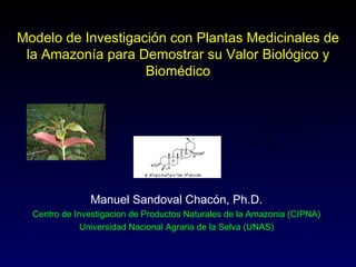 Modelo de Investigación con Plantas Medicinales de
 la Amazonía para Demostrar su Valor Biológico y
                    Biomédico


                                                            HO
                                                                            OH

                                                                   O
                                                                       OH
                                                     H3CO
                                                            OCH3




               Manuel Sandoval Chacón, Ph.D.
  Centro de Investigacion de Productos Naturales de la Amazonia (CIPNA)
              Universidad Nacional Agraria de la Selva (UNAS)
 