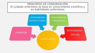 Modelo de la conservación