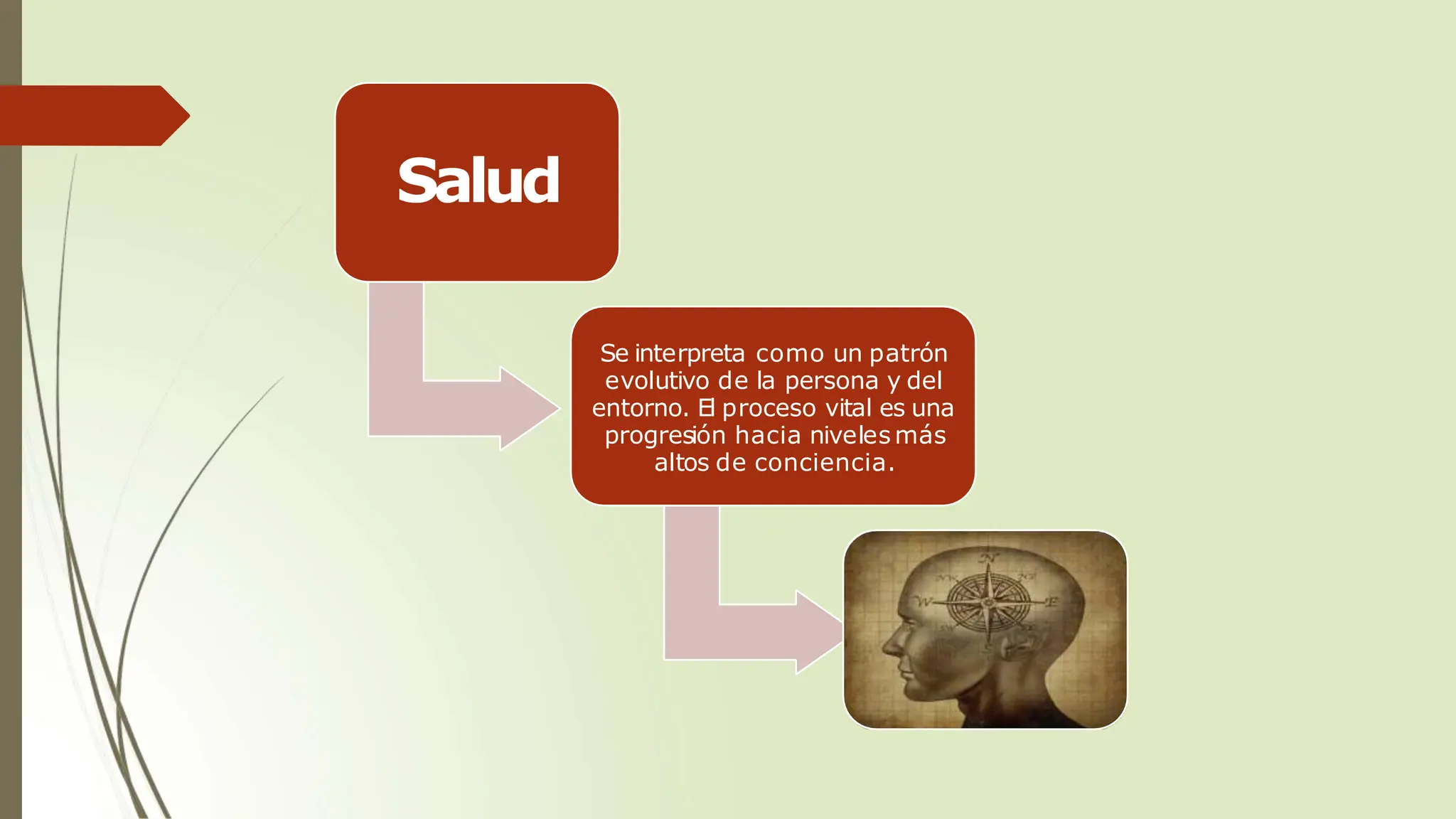 Salud
Se interpreta como un patrón
evolutivo de la persona y del
entorno. El proceso vital es una
progresión hacia niveles más
altos de conciencia.
 