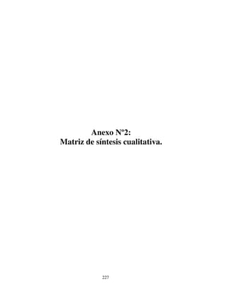 227
Anexo Nº2:
Matriz de síntesis cualitativa.
 