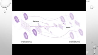 Opciones
Tiempo
ENTORNO ACTUAL ENTORNO FUTURO
 