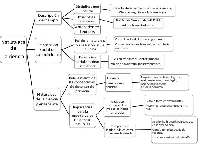 Modelo de organizador gráfico