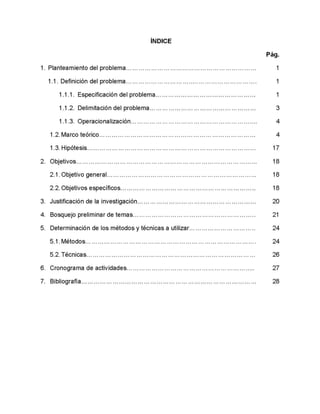 Modelo de plan de investigacion 2017
