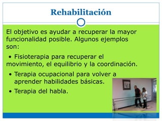 Rehabilitación
El objetivo es ayudar a recuperar la mayor
funcionalidad posible. Algunos ejemplos
son:
• Fisioterapia para recuperar el
movimiento, el equilibrio y la coordinación.
• Terapia ocupacional para volver a
aprender habilidades básicas.
• Terapia del habla.
 