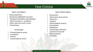 Fase Crónica
• Ataxia (equilibrio)
• Paraparesia (debilidad muscular)
• Tetraparesia (Parálisis extremidades)
• Cifosis (curvatura c. vertebral)
• Dolor severo de cuello y lomo
• Convulsiones
Signos neurológicos
Hematología
• Trombocitopenia severa
• Leucopenia
• Anemia
• La pancitopenia severa
Signos Oftalmológicos
• Conjuntivitis
• Alteraciones de la córnea
• Glaucoma
• Catarata
• Uveítis bilateral anterior
• Corioretinitis
• Papiledema
• Hemorragias retinianas
• Escleritis necrosante
• Blefaroespasmo
• Fotofobia.
 
