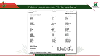 Exámenes en paciente con Erlichia y Anaplasma
 
