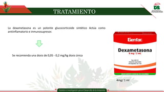 TRATAMIENTO
La dexametasona es un potente glucocorticoide sintético Actúa como
antiinflamatorio e inmunosupresor.
Se recomienda una dosis de 0,05 - 0,2 mg/kg dosis única
4mg/ 1 ml
 