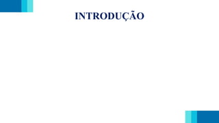 INTRODUÇÃO
 