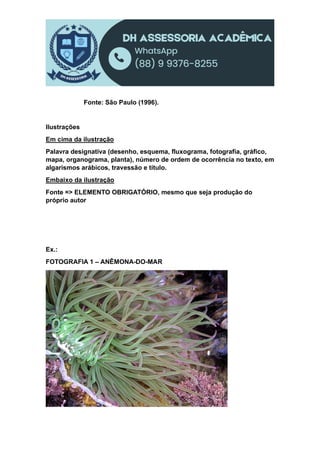 Fonte: São Paulo (1996).
Ilustrações
Em cima da ilustração
Palavra designativa (desenho, esquema, fluxograma, fotografia, gráfico,
mapa, organograma, planta), número de ordem de ocorrência no texto, em
algarismos arábicos, travessão e título.
Embaixo da ilustração
Fonte => ELEMENTO OBRIGATÓRIO, mesmo que seja produção do
próprio autor
Ex.:
FOTOGRAFIA 1 – ANÊMONA-DO-MAR
 