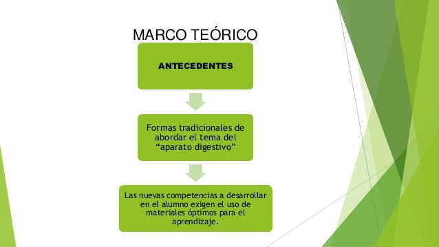 Modelo didáctico de la función y proceso del