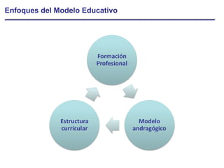 Enfoques del Modelo Educativo 