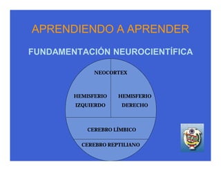 APRENDIENDO A APRENDER
FUNDAMENTACIÓN NEUROCIENTÍFICA

              NEOCORTEX



        HEMISFERIO   HEMISFERIO
        IZQUIERDO     DERECHO



            CEREBRO LÍMBICO


          CEREBRO REPTILIANO
 