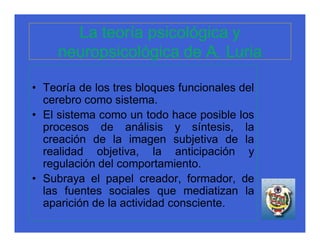 La teoría psicológica y
     neuropsicológica de A. Luria

• Teoría de los tres bloques funcionales del
  cerebro como sistema.
• El sistema como un todo hace posible los
  procesos de análisis y síntesis, la
  creación de la imagen subjetiva de la
  realidad objetiva, la anticipación y
  regulación del comportamiento.
• Subraya el papel creador, formador, de
  las fuentes sociales que mediatizan la
  aparición de la actividad consciente.
 