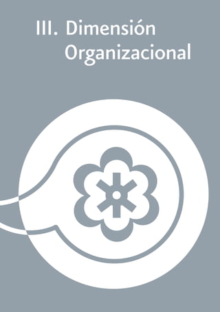 III. Dimensión 
Organizacional 
 