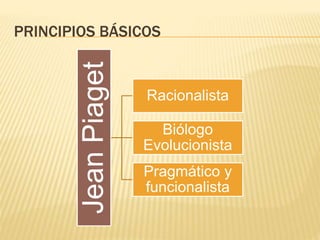 PRINCIPIOS BÁSICOS
JeanPiaget Racionalista
Biólogo
Evolucionista
Pragmático y
funcionalista
 