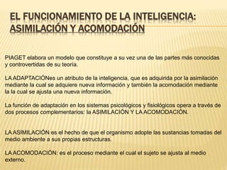 EL FUNCIONAMIENTO DE LA INTELIGENCIA:
ASIMILACIÓN Y ACOMODACIÓN
PIAGET elabora un modelo que constituye a su vez una de las partes más conocidas
y controvertidas de su teoría.
LA ADAPTACIÓNes un atributo de la inteligencia, que es adquirida por la asimilación
mediante la cual se adquiere nueva información y también la acomodación mediante
la la cual se ajusta una nueva información.
La función de adaptación en los sistemas psicológicos y fisiológicos opera a través de
dos procesos complementarios: la ASIMILACIÓN Y LA ACOMODACIÓN.
LA ASIMILACIÓN es el hecho de que el organismo adopte las sustancias tomadas del
medio ambiente a sus propias estructuras.
LA ACOMODACIÓN: es el proceso mediante el cual el sujeto se ajusta al medio
externo.
 