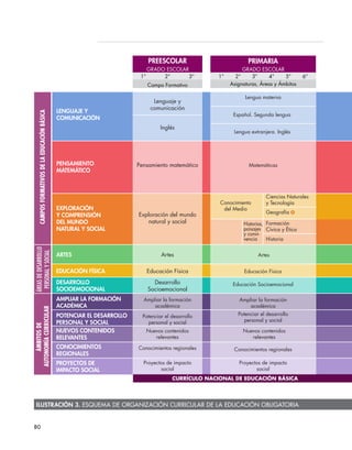 ESQUEMA DE ORGANIZACIÓN CURRICULAR DE LA EDUCACIÓN OBLIGATORIA
PREESCOLAR
GRADO ESCOLAR GRADO ESCOLAR
1° 2°
Campo Formativo Asignaturas, Áreas y Ámbitos Asig
3° 1° 2° 3° 4° 5° 6°
PRIMARIA
Lenguaje y
comunicación
Lengua materna
Español. Segunda lengua
Lengua extranjera. Inglés
His
ArtesArtes
Educación Física Educación Física
EEducación SocioemocionalDesarrollo
Socioemocional
Ampliar la formación
académica
LENGUAJE Y
COMUNICACIÓN
PENSAMIENTO
MATEMÁTICO
Pensamiento matemático Matemáticas
Bio
Inglés
EXPLORACIÓN
Y COMPRENSIÓN
DEL MUNDO
NATURAL Y SOCIAL
Exploración del mundo
natural y social
Conocimiento
del Medio
Historias,
paisajes
y convi-
vencia
Geografía Ge
Historia
Formación
Cívica y Ética
Ciencias Naturales
y Tecnología
Potenciar el desarrollo
personal y social
Nuevos contenidos
relevantes
Conocimientos regionales
Proyectos de impacto
social
Ampliar la formación
académica
Potenciar el desarrollo
personal y social
Nuevos contenidos
relevantes
Conocimientos regionales
Proyectos de impacto
social
Co
ARTES
EDUCACIÓN FÍSICA
CURRÍCULO NACIONAL DE EDUCACIÓN BÁSICA
DESARROLLO
SOCIOEMOCIONAL
AMPLIAR LA FORMACIÓN
ACADÉMICA
POTENCIAR EL DESARROLLO
PERSONAL Y SOCIAL
NUEVOS CONTENIDOS
RELEVANTES
CONOCIMIENTOS
REGIONALES
PROYECTOS DE
IMPACTO SOCIAL
CAMPOSFORMATIVOSDELAEDUCACIÓNBÁSICA
ÁREASDEDESARROLLO
PERSONALYSOCIAL
ÁMBITOSDE
AUTONOMÍACURRICULAR
1
ESQUEMA DE ORGANIZACIÓN CURRICULAR DE LA EDUCACIÓN OBLIGATORIA
PREESCOLAR
GRADO ESCOLAR GRADO ESCOLAR
1° 2°
Campo Formativo Asignaturas, Áreas y Ámbitos
3° 1° 2° 3° 4° 5° 6°
PRIMARIA
Lenguaje y
comunicación
Lengua materna
Español. Segunda lengua
Lengua extranjera. Inglés
ArtesArtes
Educación Física Educación Física
Educación SocioemocionalDesarrollo
Socioemocional
Ampliar la formación
académica
LENGUAJE Y
COMUNICACIÓN
PENSAMIENTO
MATEMÁTICO
Pensamiento matemático Matemáticas
Inglés
EXPLORACIÓN
Y COMPRENSIÓN
DEL MUNDO
NATURAL Y SOCIAL
Exploración del mundo
natural y social
Conocimiento
del Medio
Historias,
paisajes
y convi-
vencia
Geografía
Historia
Formación
Cívica y Ética
Ciencias Naturales
y Tecnología
Potenciar el desarrollo
personal y social
Nuevos contenidos
relevantes
Conocimientos regionales
Proyectos de impacto
social
Ampliar la formación
académica
Potenciar el desarrollo
personal y social
Nuevos contenidos
relevantes
Conocimientos regionales
Proyectos de impacto
social
ARTES
EDUCACIÓN FÍSICA
CURRÍCULO NACIONAL DE EDUCACIÓN BÁSICA
DESARROLLO
SOCIOEMOCIONAL
AMPLIAR LA FORMACIÓN
ACADÉMICA
POTENCIAR EL DESARROLLO
PERSONAL Y SOCIAL
NUEVOS CONTENIDOS
RELEVANTES
CONOCIMIENTOS
REGIONALES
PROYECTOS DE
IMPACTO SOCIAL
CAMPOSFORMATIVOSDELAEDUCACIÓNBÁSICA
ÁREASDEDESARROLLO
PERSONALYSOCIAL
ÁMBITOSDE
AUTONOMÍACURRICULAR
ESQUEMA DE ORGANIZACIÓN CURRICULAR DE LA EDUCACIÓN OBLIGATORIA
PREESCOLAR
GRADO ESCOLAR GRADO ESCOLAR GR
1° 2°
Campo Formativo Asignaturas, Áreas y Ámbitos Asignatu
3° 1° 2° 3° 4° 5° 6°
PRIMARIA SE
Lenguaje y
comunicación
Lengua materna
Español. Segunda lengua
Lengua extranjera. Inglés
Historia
ArtesArtes
Educación Física Educación Física Ed
EducaEducación SocioemocionalDesarrollo
Socioemocional
Ampliar la formación
académica
LENGUAJE Y
COMUNICACIÓN
PENSAMIENTO
MATEMÁTICO
Pensamiento matemático Matemáticas
Biología
Inglés
EXPLORACIÓN
Y COMPRENSIÓN
DEL MUNDO
NATURAL Y SOCIAL
Exploración del mundo
natural y social
Conocimiento
del Medio
Historias,
paisajes
y convi-
vencia
Geografía Geogra
Historia
Formación
Cívica y Ética
Ciencias Naturales
y Tecnología
Potenciar el desarrollo
personal y social
Nuevos contenidos
relevantes
Conocimientos regionales
Proyectos de impacto
social
Ampliar la formación
académica
Potenciar el desarrollo
personal y social
Nuevos contenidos
relevantes
Conocimientos regionales
Proyectos de impacto
social
Am
aca
Poten
pe
Nu
Conoci
Proy
ARTES
EDUCACIÓN FÍSICA
CURRÍCULO NACIONAL DE EDUCACIÓN BÁSICA
DESARROLLO
SOCIOEMOCIONAL
AMPLIAR LA FORMACIÓN
ACADÉMICA
POTENCIAR EL DESARROLLO
PERSONAL Y SOCIAL
NUEVOS CONTENIDOS
RELEVANTES
CONOCIMIENTOS
REGIONALES
PROYECTOS DE
IMPACTO SOCIAL
CAMPOSFORMATIVOSDELAEDUCACIÓNBÁSICA
ÁREASDEDESARROLLO
PERSONALYSOCIAL
ÁMBITOSDE
AUTONOMÍACURRICULAR
1°
Ilustración 3. Esquema de organización curricular de la educación obligatoria
80
 