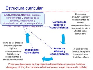 Estructura curricular
Campos de
saberes y
conocimientos
Áreas de
saberes y
conocimientos
Disciplinas
curriculares
Organizan y
articulan saberes y
conocimientos de
manera
complementaria en
función de su uso y
utilidad socio-
comunitaria
Parte de las áreas en
el que se organizan
lógica y
pedagógicamente
los saberes y
conocimientos a
través de contenidos
Al igual que los
campos, integran e
interrelacionan
disciplinas afines
EJES ARTICULADORES: Saberes,
conocimientos y prácticas de la
sociedad, integradores y
dinamizadores del currículo para Vivir
Bien. Vínculo práctica -teoría
Procesos educativos y de investigación desarrollados de manera holística,
dialógica y cíclica, directamente relacionados con lo que ocurre en la realidad
 