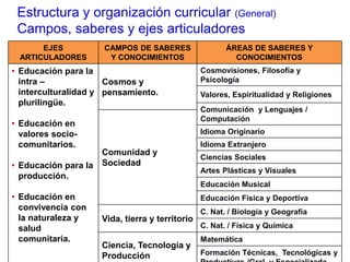 Estructura y organización curricular (General)
Campos, saberes y ejes articuladores
EJES
ARTICULADORES
CAMPOS DE SABERES
Y CONOCIMIENTOS
ÁREAS DE SABERES Y
CONOCIMIENTOS
• Educación para la
intra –
interculturalidad y
plurilingüe.
• Educación en
valores socio-
comunitarios.
• Educación para la
producción.
• Educación en
convivencia con
la naturaleza y
salud
comunitaria.
Cosmos y
pensamiento.
Cosmovisiones, Filosofía y
Psicología
Valores, Espiritualidad y Religiones
Comunicación y Lenguajes /
Computación
Comunidad y
Sociedad
Idioma Originario
Idioma Extranjero
Ciencias Sociales
Artes Plásticas y Visuales
Educación Musical
Educación Física y Deportiva
Vida, tierra y territorio
C. Nat. / Biología y Geografía
C. Nat. / Física y Química
Ciencia, Tecnología y
Producción
Matemática
Formación Técnicas, Tecnológicas y
 