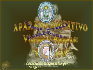 NMNM
N
“La piedad” de Miguel Ángel BuonarrotiLa piedad” de Miguel Ángel Buonarroti
año: 1499 (foto de R. Hupka)
Cátedra de Diagnóstico por
Imágenes
 