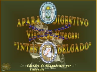 NMNM
N
“La piedad” de Miguel Ángel BuonarrotiLa piedad” de Miguel Ángel Buonarroti
año 1499 (foto de R. Hupka)
Cátedra de Diagnóstico por
Imágenes
 