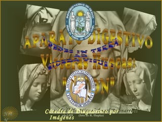 NMNM
N
“La piedad” de Miguel Ángel BuonarrotiLa piedad” de Miguel Ángel Buonarroti
año1499 (foto de R. Hupka)
Cátedra de Diagnóstico por
Imágenes
 