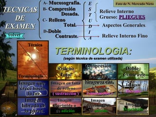 Foto de N. Mercado NietoFoto de N. Mercado Nieto
TERMINOLOGIA:TERMINOLOGIA:
(según técnica de examen utilizada)(según técnica de examen utilizada)
TécnicaTécnica
TerminologíaTerminología
NMNM
NN
RellenoRelleno
TotalTotal
CompresiónCompresión
Dosada yDosada y
MucosografíaMucosografía
DobleDoble
ContrasteContraste
Imagen en faltaImagen en falta
de rellenode relleno
( sustracción )( sustracción )
Imagen en faltaImagen en falta
de rellenode relleno
( sustracción )( sustracción )
ImagenImagen
ElevadaElevada
ImagenImagen
deprimida odeprimida o
dede adiciónadición
ImagenImagen
DeprimidaDeprimida
ImagenImagen
deprimida odeprimida o
dede adiciónadición
volvervolver
A-A- Mucosografía.Mucosografía.
B-B- CompresiónCompresión
Dosada.Dosada.
C-C- RellenoRelleno
TotalTotal..
DD--DobleDoble
ContrasteContraste..
Relieve Interno
Grueso: PLIEGUESPLIEGUES
Aspectos Generales.
Relieve Interno Fino
TECNICASTECNICAS
DEDE
EXAMENEXAMEN
E
S
T
U
D
I
A
ImagenImagen
labrada enlabrada en
la pared.la pared.
Imagen queImagen que
crece haciacrece hacia
la luz.la luz.
 