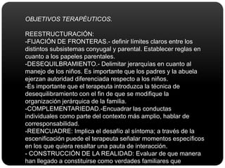 El terapeuta observa la estructura familiar por medio del proceso de asociarse con ella, esto implica un doble proceso de unión y acomodamiento(coparticipación, a la vez que actúa interviniendo para la reestructuración familiar.Componentes del diagnóstico estructural se obtienen de:Datos de la historia familiar y antecedentes relacionados con el problema.