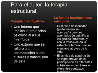 Para el autor  la terapia estructural:Cumple dos objetivos:La familia imprime a sus miembros:Uno interno que implica la protección psicosocial a sus miembrosUno externo que se refiere a la acomodación a una culturas y transmisión de estaEl sentido de identidad (pertenencia) se acompaña con una acomodación del niño a los grupos familiares  y con la transición en la estructura familiar que se mantiene atreves de la vida