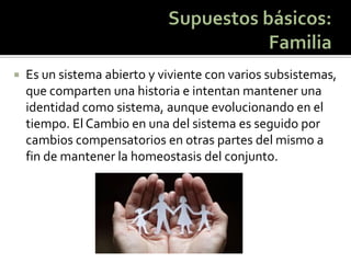 Es un sistema abierto y viviente con varios subsistemas, que comparten una historia e intentan mantener una identidad como sistema, aunque evolucionando en el tiempo. El Cambio en una del sistema es seguido por cambios compensatorios en otras partes del mismo a fin de mantener la homeostasis del conjunto.  