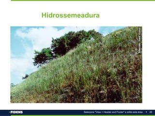 26
Selecione "View > Header and Footer" e edite esta área
Hidrossemeadura
 