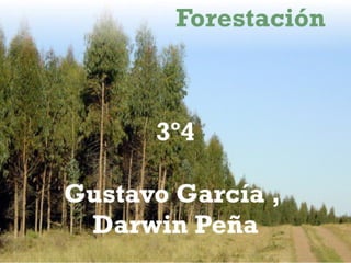 Modelo forestal uruguayo