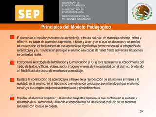 Principios del Modelo Pedagógico  SECRETARÍA DE EDUCACIÓN PÚBLICA SUBSECRETARÍA DE EDUCACIÓN BÁSICA DIRECCIÓN GENERAL DE M...