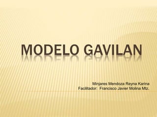 MODELO GAVILAN
Minjares Mendoza Reyna Karina
Facilitador: Francisco Javier Molina Mtz.
 