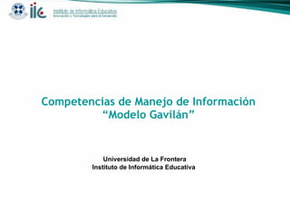 Competencias de Manejo de Información “Modelo Gavilán” Universidad de La Frontera Instituto de Informática Educativa  