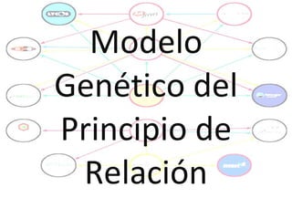 Modelo Genético del Principio de Relación 