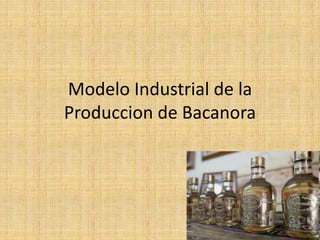 Modelo Industrial de la
Produccion de Bacanora
 