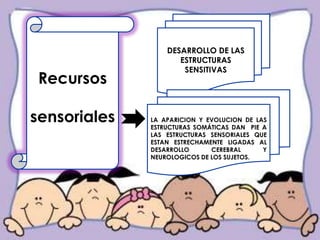 DESARROLLO DE LAS
                     ESTRUCTURAS
                      SENSITIVAS
 Recursos

sensoriales   LA APARICION Y EVOLUCION DE LAS
              ESTRUCTURAS SOMÁTICAS DAN PIE A
              LAS ESTRUCTURAS SENSORIALES QUE
              ESTAN ESTRECHAMENTE LIGADAS AL
              DESARROLLO      CEREBRAL      Y
              NEUROLOGICOS DE LOS SUJETOS.
 
