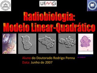 Aluno  do Doutorado Rodrigo Penna Data:  Junho de 2007 Radiobiologia: Modelo Linear-Quadrático http://www.cellsalive.com/  em  03/06//07. 