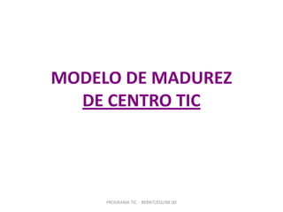 PROGRAMA TIC -  BERRITZEGUNE 00 MODELO DE MADUREZDE CENTRO TIC 