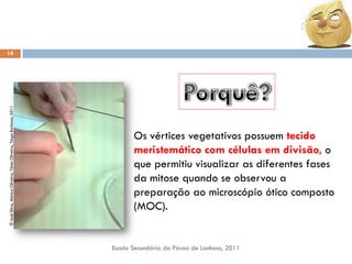 © José Silva, Mónica Oliveira, Tânia Oliveira, Tiago Barbosa, 2011

18

Os vértices vegetativos possuem tecido
meristemático com células em divisão, o
que permitiu visualizar as diferentes fases
da mitose quando se observou a
preparação ao microscópio ótico composto
(MOC).

Escola Secundária da Póvoa de Lanhoso, 2011

 