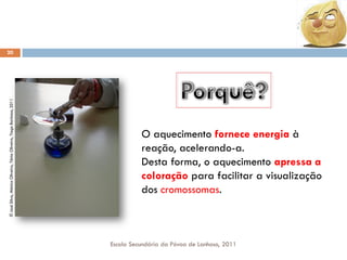 © José Silva, Mónica Oliveira, Tânia Oliveira, Tiago Barbosa, 2011

20

O aquecimento fornece energia à
reação, acelerando-a.
Desta forma, o aquecimento apressa a
coloração para facilitar a visualização
dos cromossomas.

Escola Secundária da Póvoa de Lanhoso, 2011

 