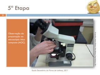5ª Etapa
23

© José Silva, Mónica Oliveira, Tânia Oliveira, Tiago Barbosa, 2011

Observação da
preparação ao
microscópio ótico
composto (MOC).

Escola Secundária da Póvoa de Lanhoso, 2011

 