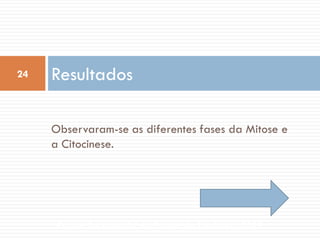 24

Resultados
Observaram-se as diferentes fases da Mitose e
a Citocinese.

Escola Secundária da Póvoa de Lanhoso, 2011

 