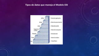Tipos de datos que maneja el Modelo OSI
 