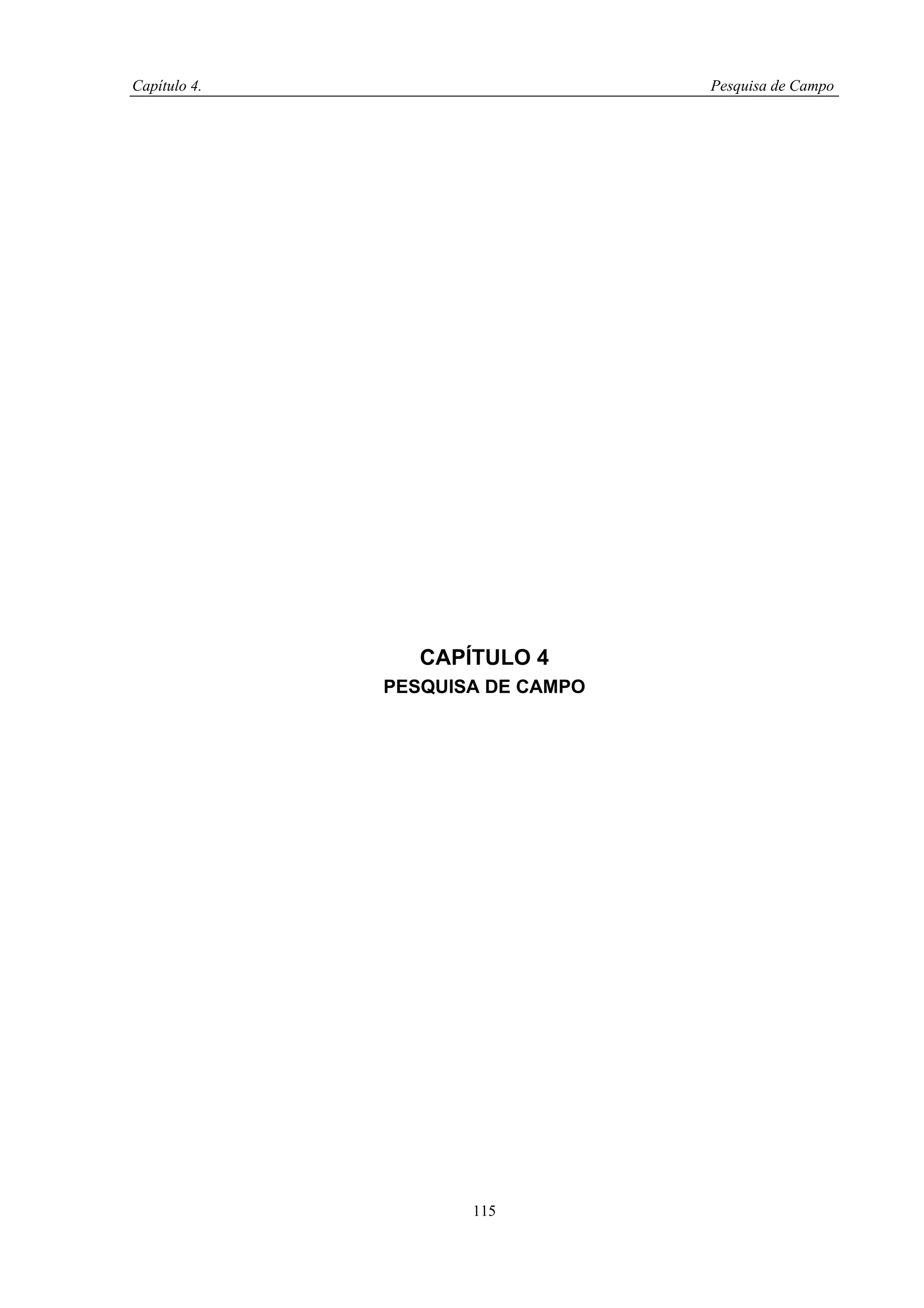 Capítulo 4.                       Pesquisa de Campo




                 CAPÍTULO 4
              PESQUISA DE CAMPO




                     115
 
