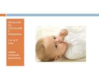 REACCION
ES
CIRCULARE
S
PRIMARIAS
(1er al 4º
mes)
repiten
conductas
placenteras
 