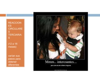REACCION
ES
CIRCULARE
S
TERCIARIA
S
(12 a 18
meses)
varían sus
pasos para
obtener
diferentes
resultados
 