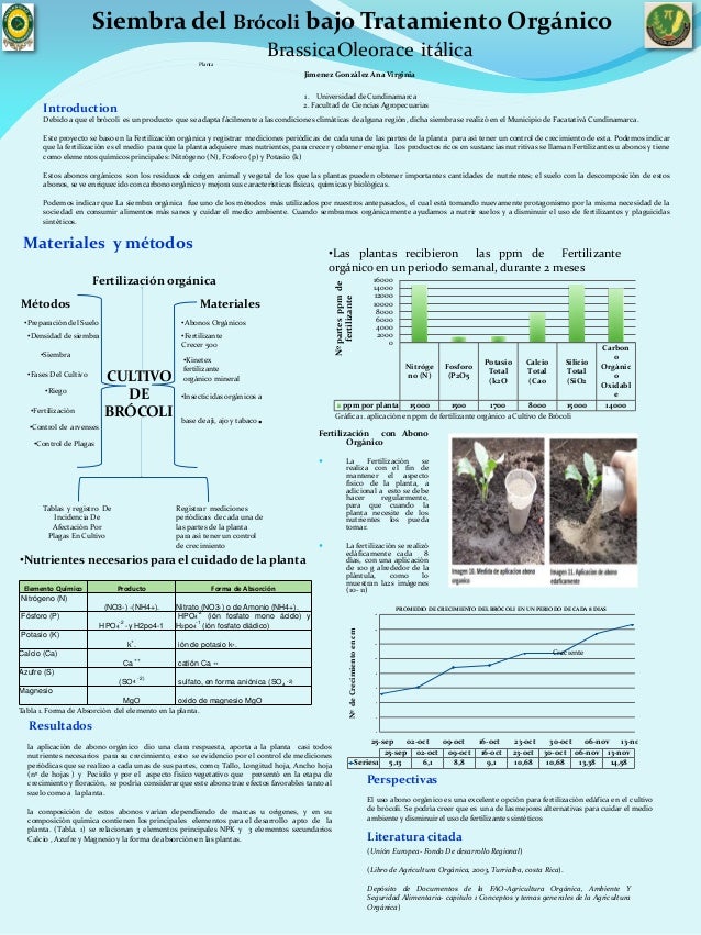 modelo poster quimica original modelo poster