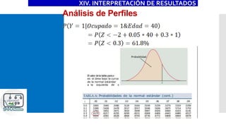 Análisis de Perfiles
XIV. INTERPRETACIÓN DE RESULTADOS
 